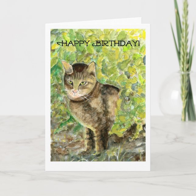 Cat Birthday Card Karte (Vorderseite)