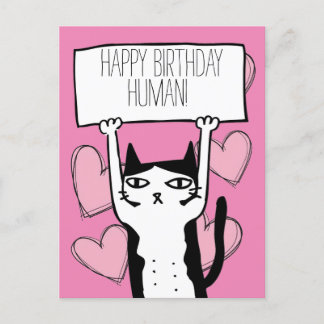 Cat Birthday Postcard Postkarte