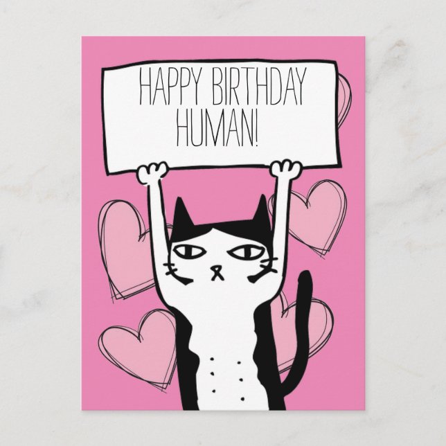 Cat Birthday Postcard Postkarte (Vorderseite)