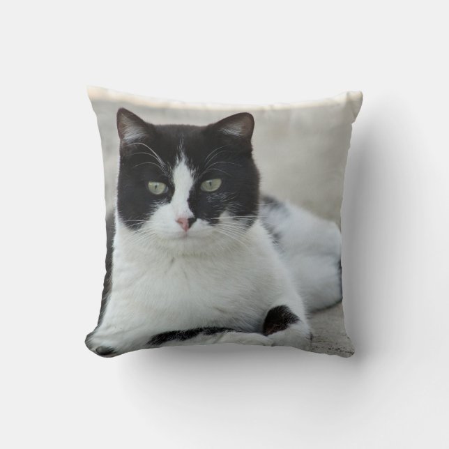 Cat Black and White Tuxedo Foto Kissen (Vorderseite)