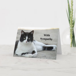 Cat Black and White Tuxedo Foto Sympathy Karte