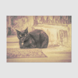 Cat Black Niedlich Vintag Antibes Sepia Art Seidenpapier