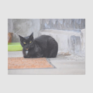 Cat Black Niedliche Vintage Antike Malerei Kunst Seidenpapier