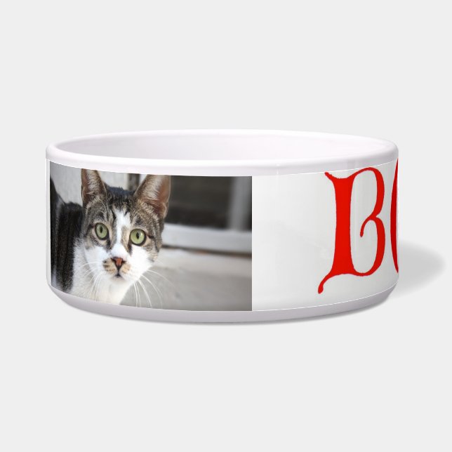 Cat Bowl Napf (Vorderseite)