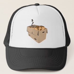 Cat Box Sleep Cartoon Tired Zzz Sleep Cute Truckerkappe