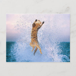 Cat Breaching Postkarte