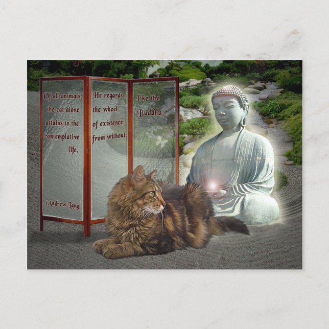 Cat-Buddha-Natur Postkarte (Vorderseite)