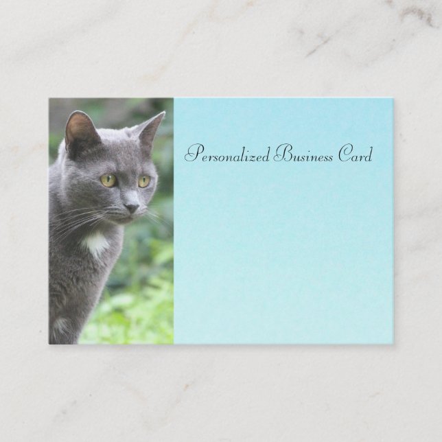 Cat Business Card Terminkarte (Vorderseite)