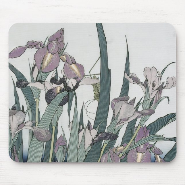 Cat & Butterfly, XuGu (Zhu Huairen) Mousepad (Vorne)
