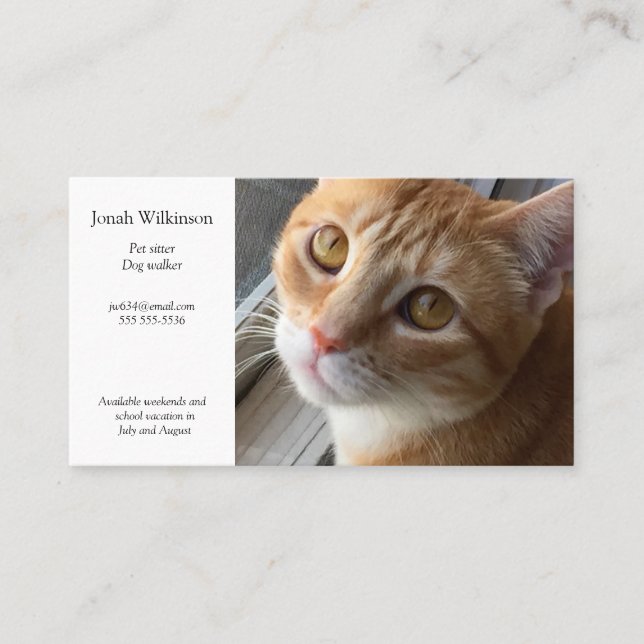 Cat by window Business Card Visitenkarte (Vorderseite)