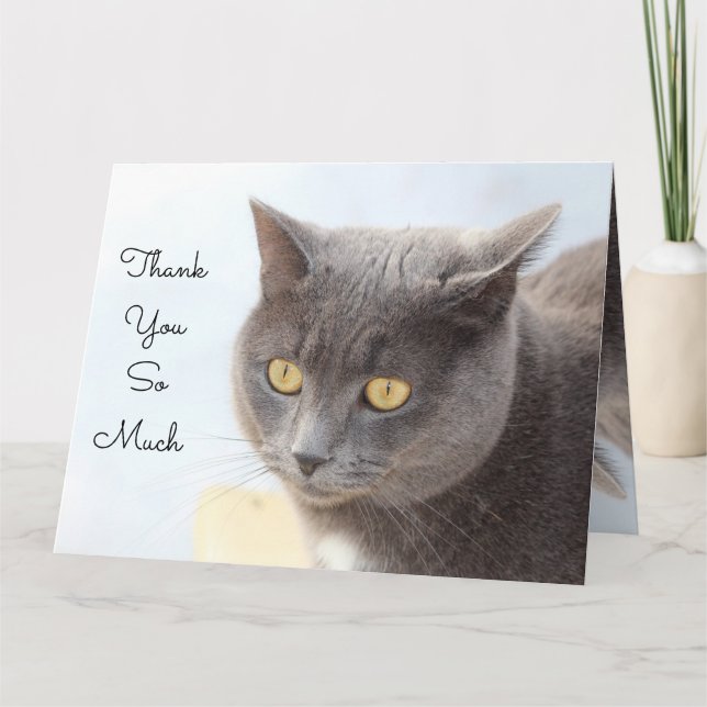 Cat Card Vielen Dank Karte (Vorderseite)