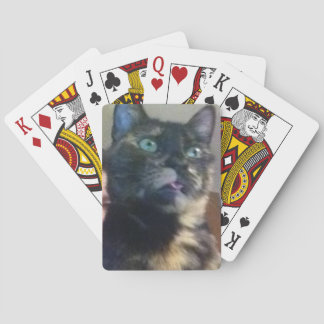 Cat Cards Spielkarten