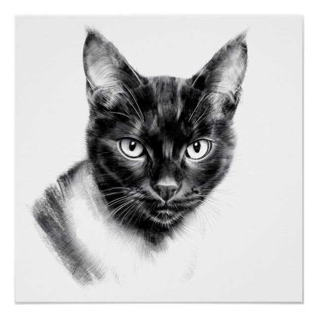 Cat Charcoal Poster (Vorderseite)