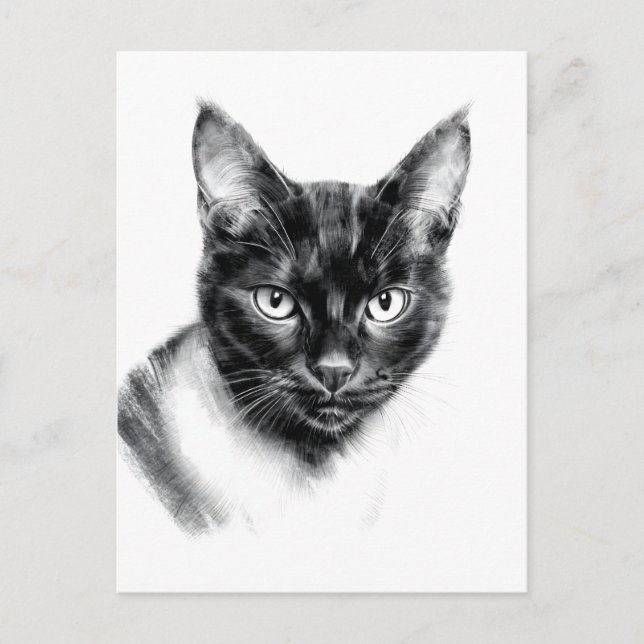 Cat Charcoal Postkarte (Vorderseite)