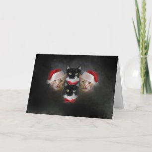 Cat Christmas Card Bohemisch Catsody Karte