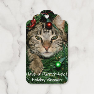 Cat Christmas Tree Perfect Holiday Weihnachten Geschenkanhänger