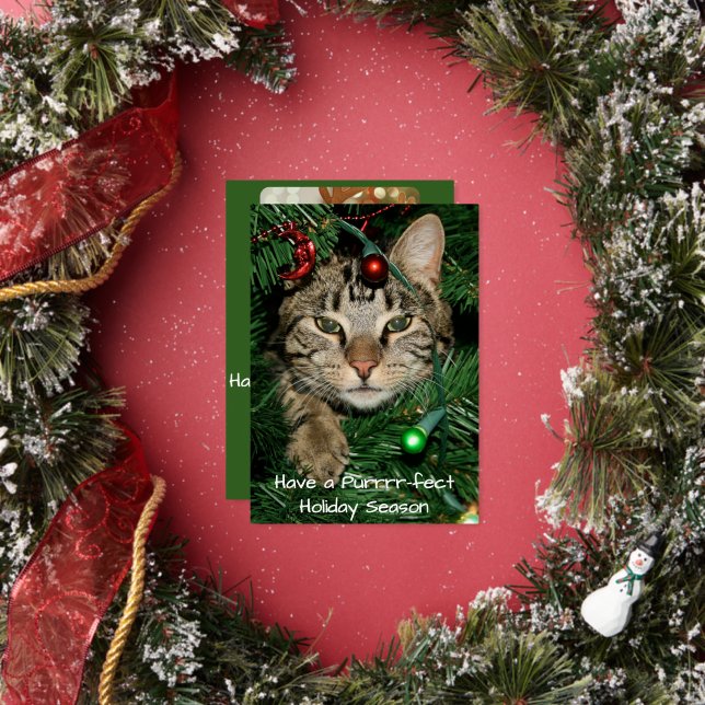 Cat Christmas Tree Perfect Holiday Weihnachtskarte Folieneinladung (Insitu)