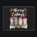 Cat Christmas Weihnachtsmannmütze Funny Merry Catm Magnetkarte<br><div class="desc">Cat Christmas Weihnachtsmannmütze Funny Merry Catmas</div>