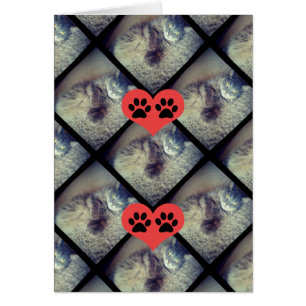 Cat Collage mit PawPrints von Shirley Taylor