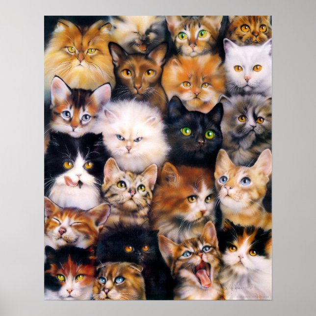Cat Collage Poster (Vorne)