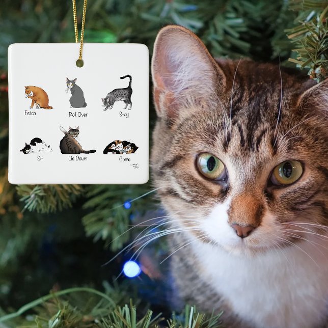 Cat Commands Keramikornament (Von Creator hochgeladen)