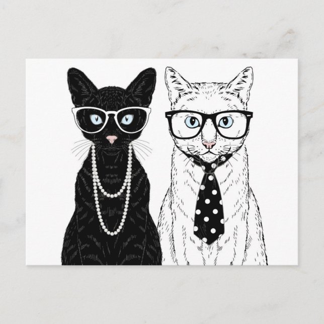 Cat Couple Postkarte (Vorderseite)