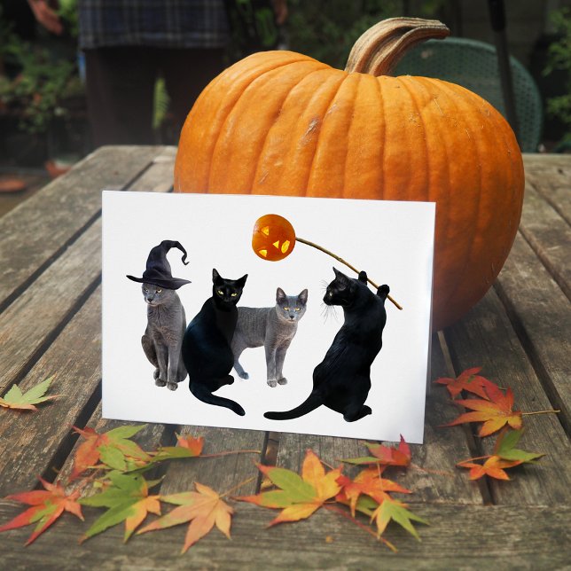 Cat Coven Halloween Card (Von Creator hochgeladen)