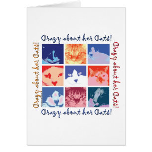 Cat Crazy