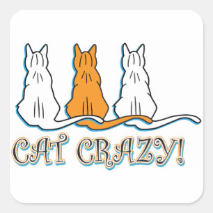Cat Crazy Orange Tabby Cats Quadratischer Aufkleber