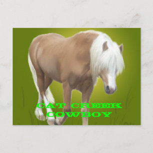 Cat Creek Cowboy PC Postkarte