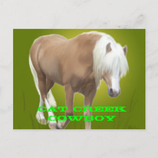 Cat Creek Cowboy PC Postkarte