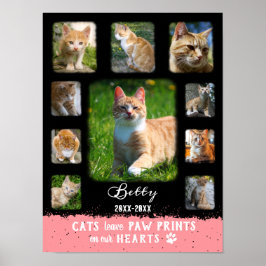 Cat Custom Foto Collage ausgeblendete Grenzen Schw Poster