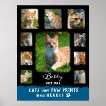Cat Custom Foto Collage verblichene Grenzen Schwar