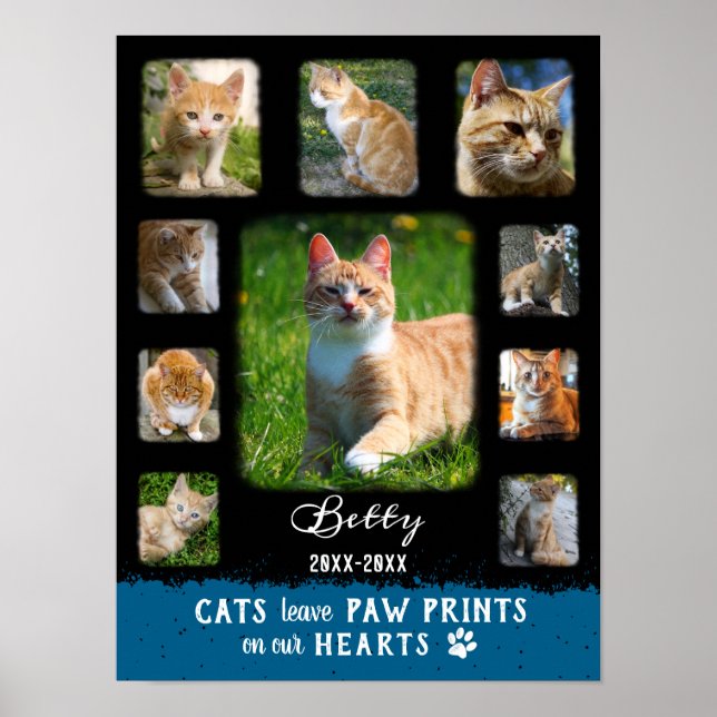 Cat Custom Foto Collage verblichene Grenzen Schwar Poster (Vorne)
