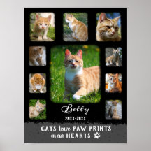 Cat Custom Photo Collage Faded Borders Black Gray