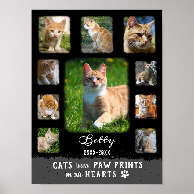 Cat Custom Photo Collage Faded Borders Black Gray Poster (Vorne)