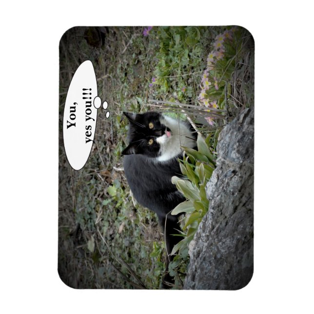 Cat Custom text Foto Magnet (Vertikal)