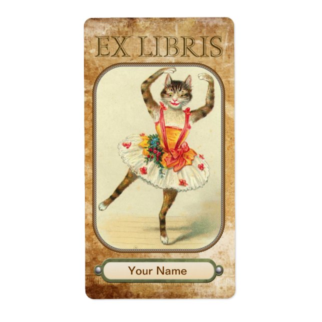 Cat Dance Book Teller (Vorne)