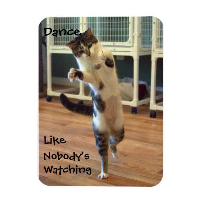 Cat Dance Magnet (Vertikal)