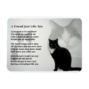 Cat Design ami Poem Magnet
