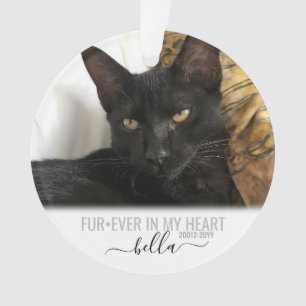Cat Dog Pet Perte Memorial Personnalisé