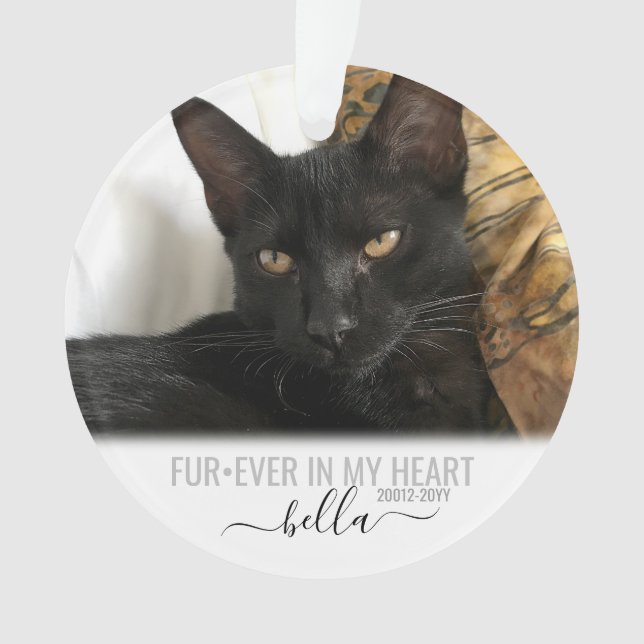 Cat Dog Pet Perte Memorial Personnalisé (devant)