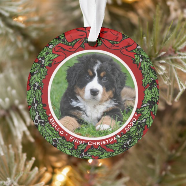 Cat Dog photo Premières baies de Noël (Arbre)