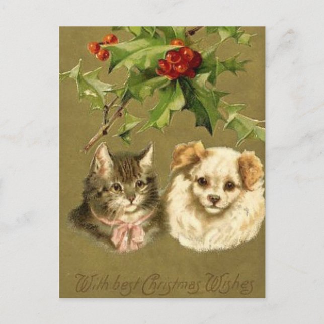 Cat & Dog’s Christmas Card Feiertagspostkarte (Vorderseite)