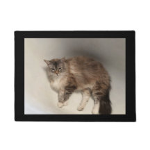 Cat Doormat