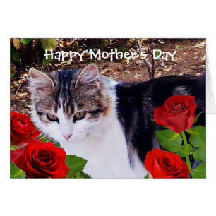 CAT DU JOUR DE MÈRE AVEC LES ROSES ROUGES