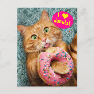 Cat Eating Donut Einladungspostkarte
