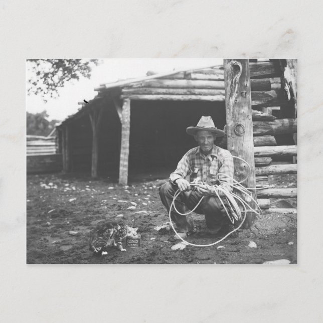 Cat eating out of a coffee can postkarte (Vorderseite)