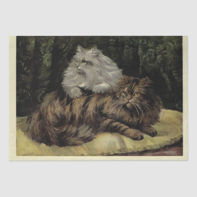 Cat Ephemera Decoupage Brown Tabby Silver Persian Seidenpapier (Vorderseite)