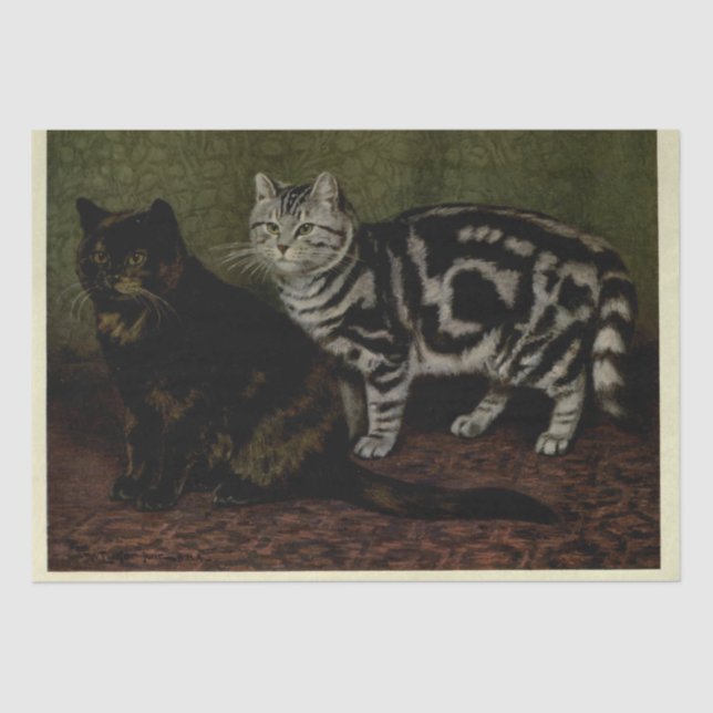 Cat Ephemera Decoupage Tortoiseshell Silver Tabby Seidenpapier (Vorderseite)
